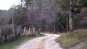 Offroadin II